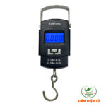 Cân treo WH-A08 50kg