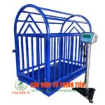 Cân Heo Điện Tử 1 tấn DS166SS