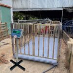 Cân Heo Điện Tử 2 tấn DS166SS