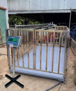 can heo điện tử 3 tấn ds 166ss
