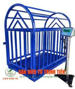 Cân Heo Điện Tử 300kg DS166SS
