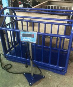 Cân Heo Điện Tử 500kg