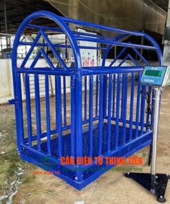 Cân Heo Điện Tử 300kg