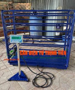Cân Heo Điện Tử 300kg